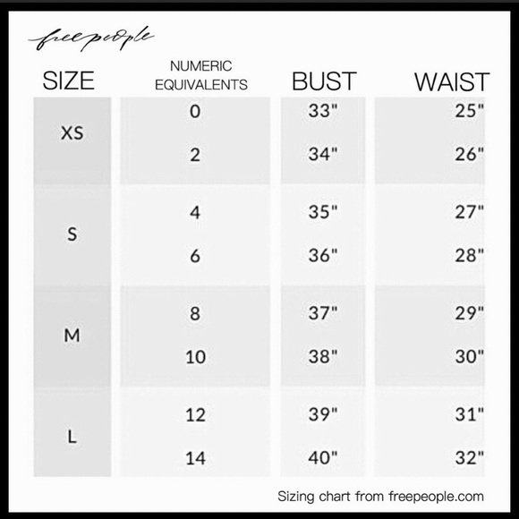 FREE PEOPLE VELVET AND LACE  CROPPED TOP WILD MOON - Picture 4 of 13